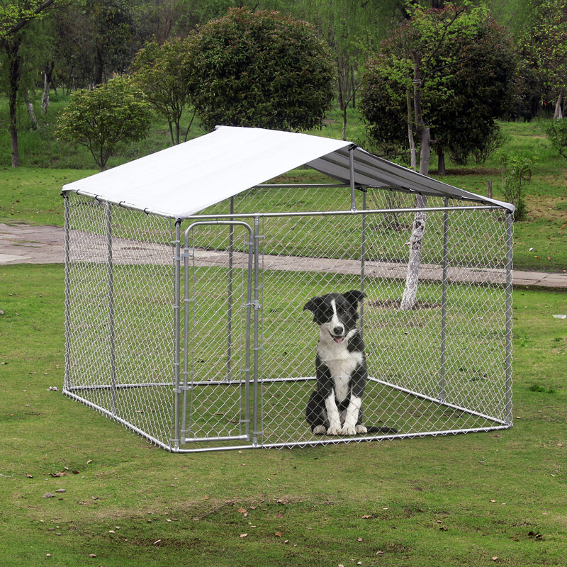 Outdoor Dog Kennel with Cover UV Protection 10 x 10 House Canopy Crate